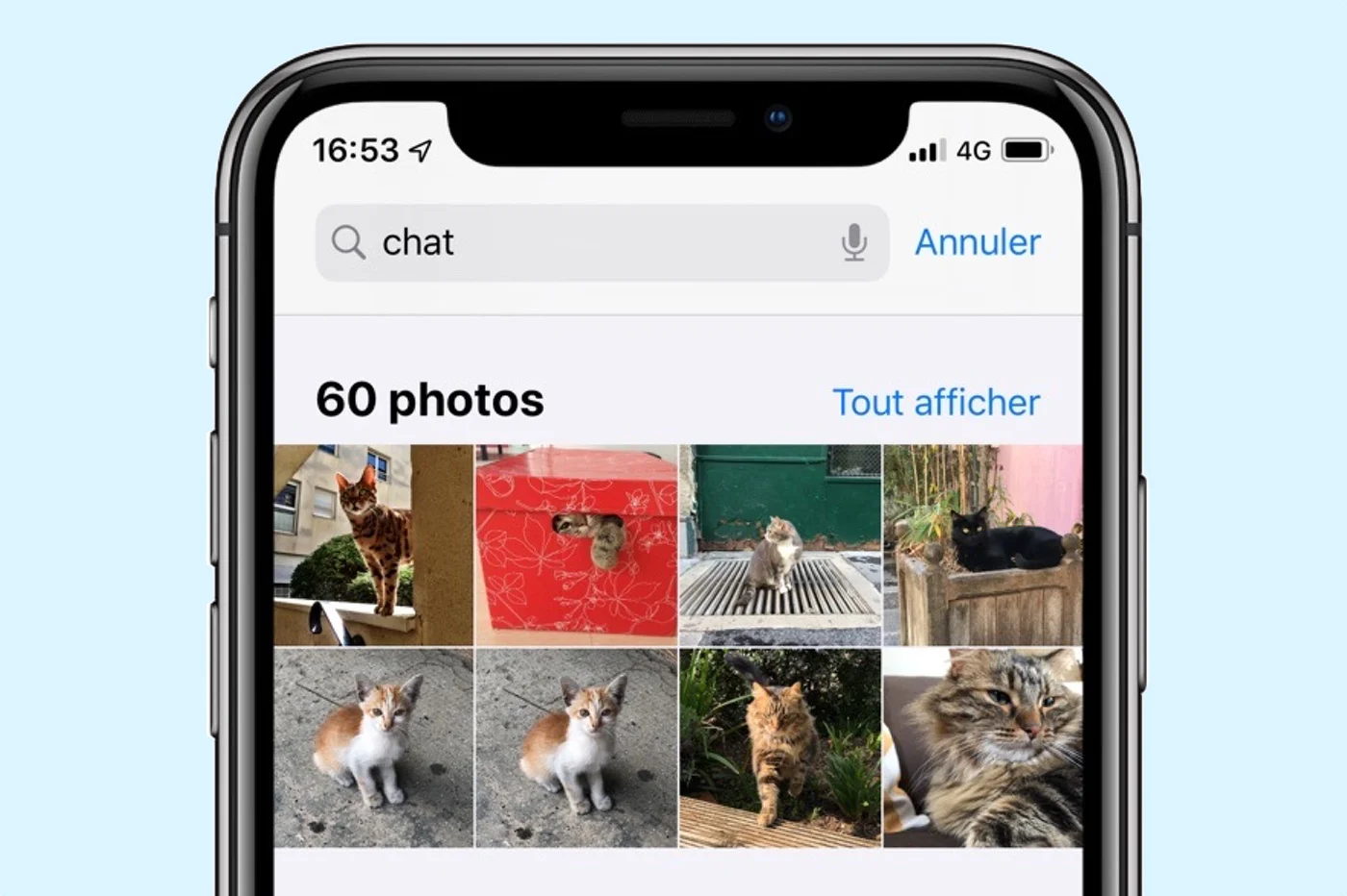 iOS 13 では、アプリに猫と犬の検出機能が追加されました