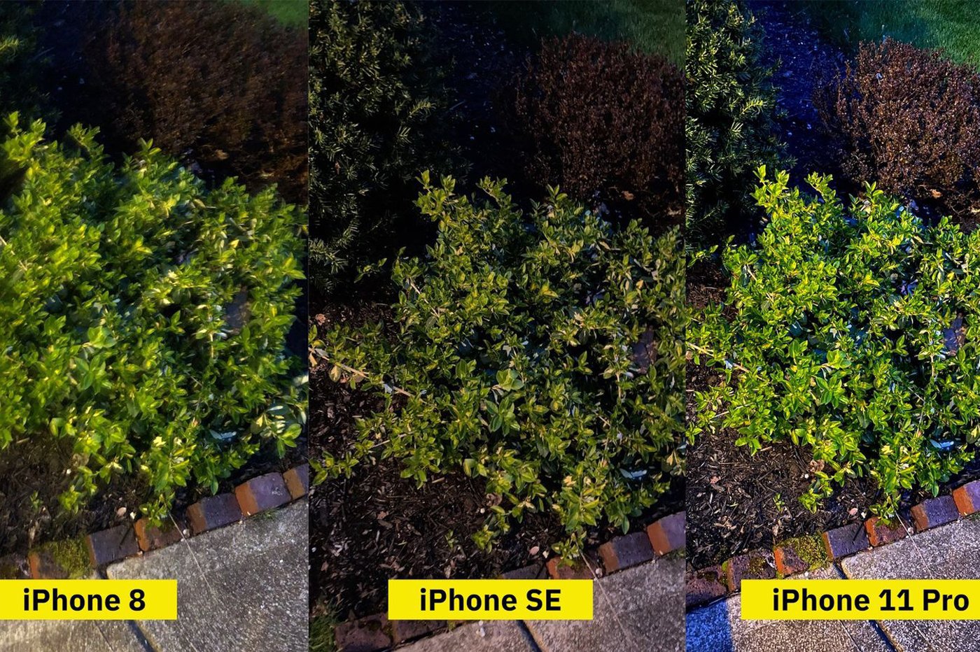 写真の比較: iPhone SE vs iPhone 11 Pro vs iPhone 8