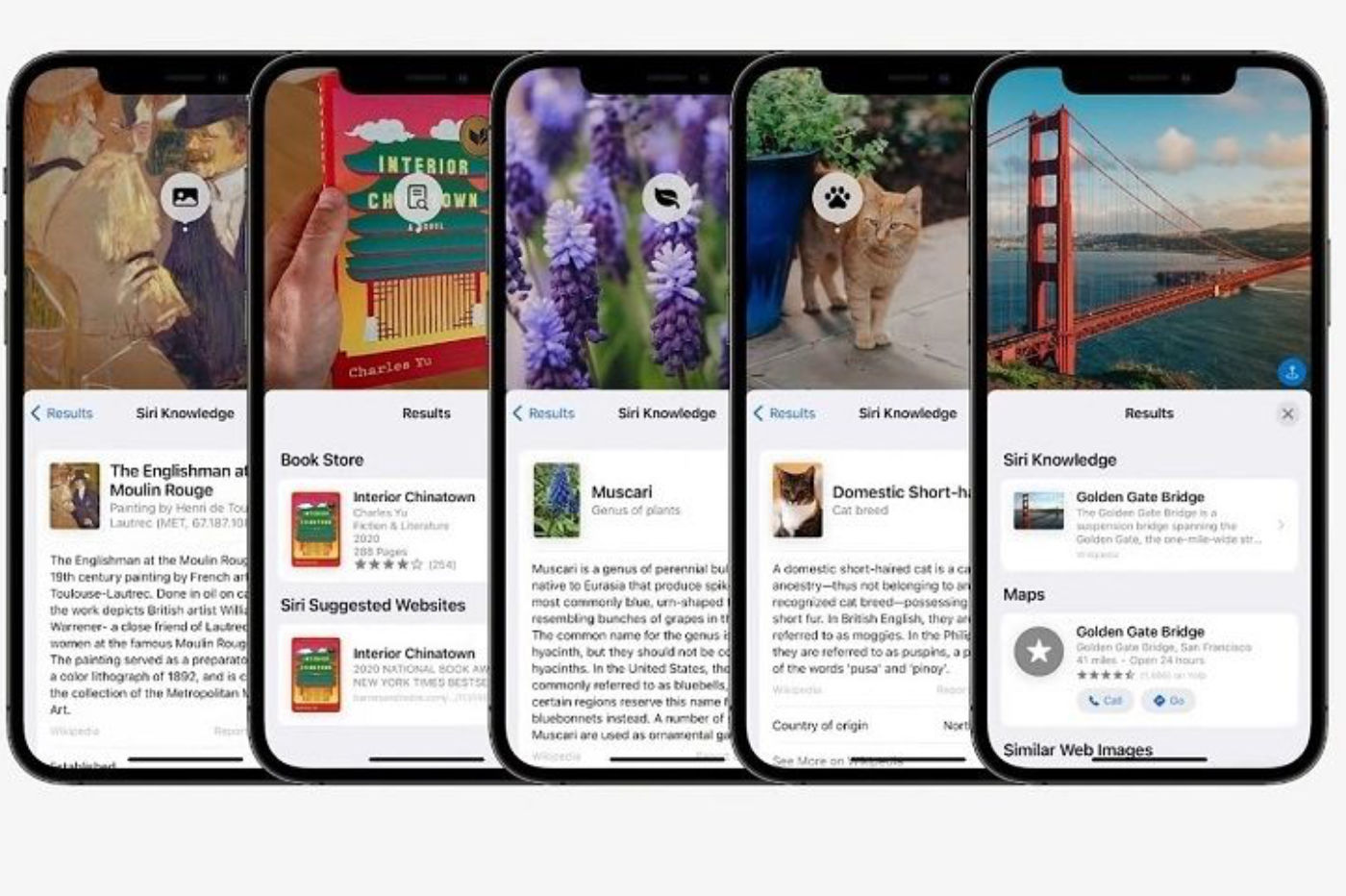 iOS 15: Apple は写真内のテキストに誇りを与えます