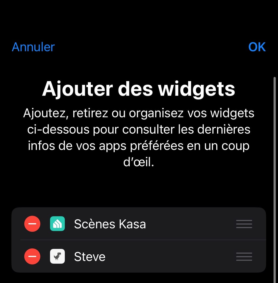 Installation jeu Steve widgets
