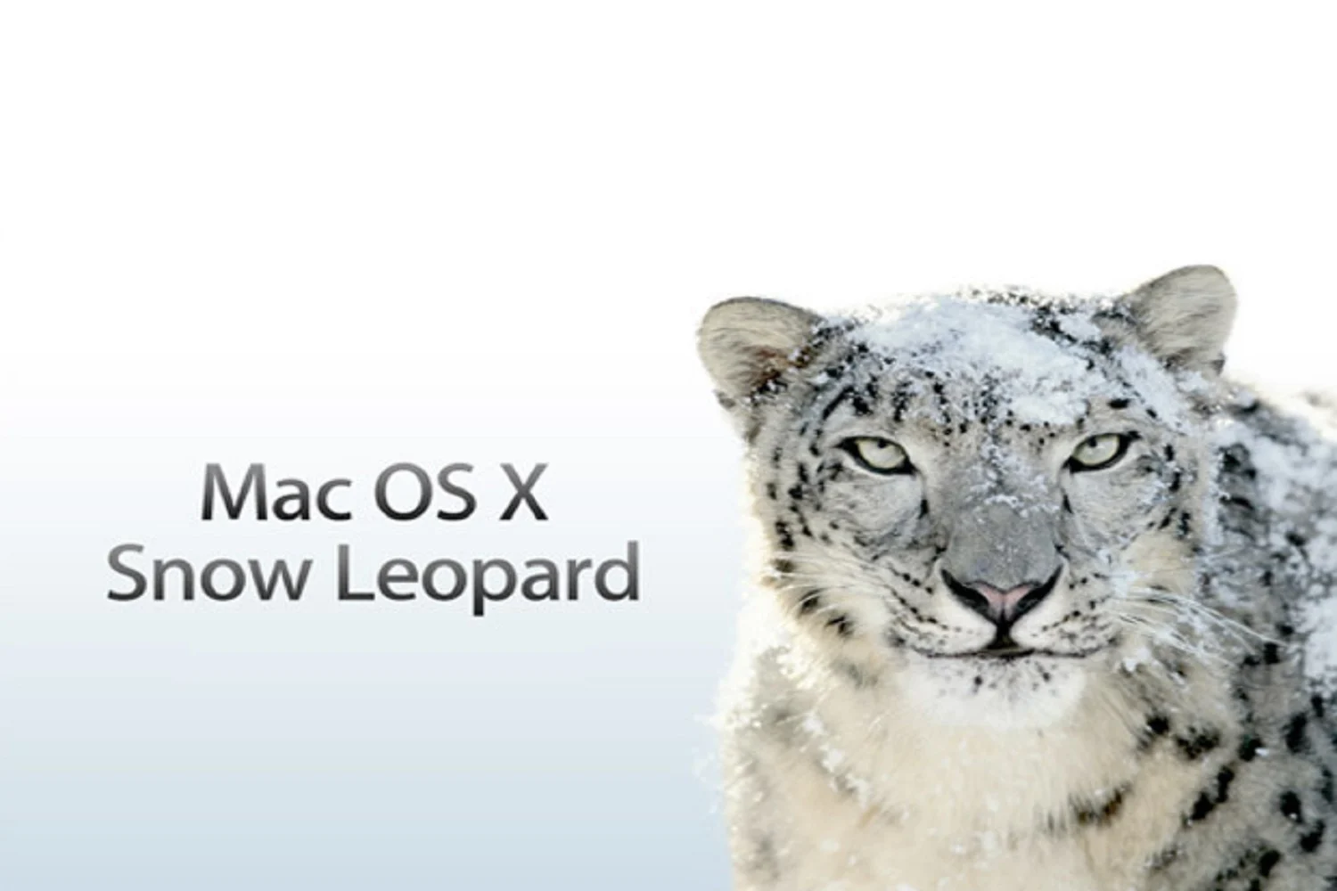 15 年前 Mac OS X Snow Leopard がリリース: Apple にとって転換点