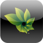 Microsoft Photosynth でパノラマ写真を撮影する