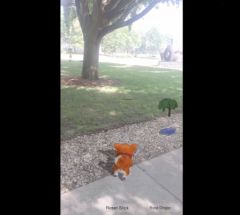 arkit-demo-animal-compagnon-virtuel.jpg