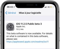 iOS 11.2.5のベータ3は開発版とパブリック版で利用可能